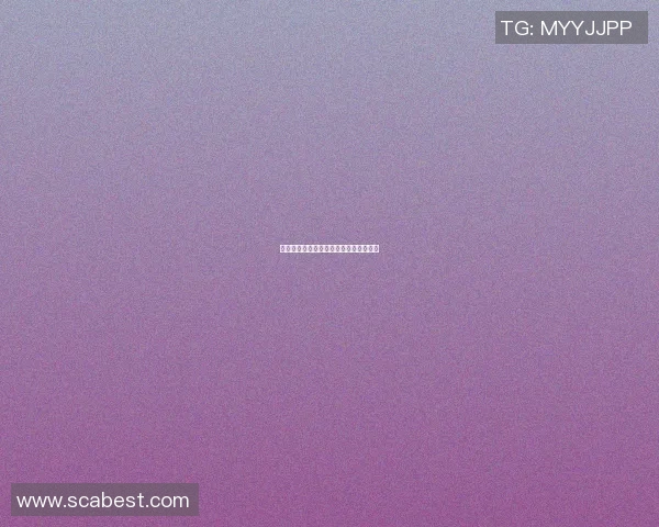 李姓足球明星的传奇之路与辉煌成就探秘