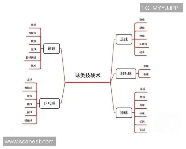 篮球明星站位解析与战术运用探讨助你提升球场表现与团队配合能力