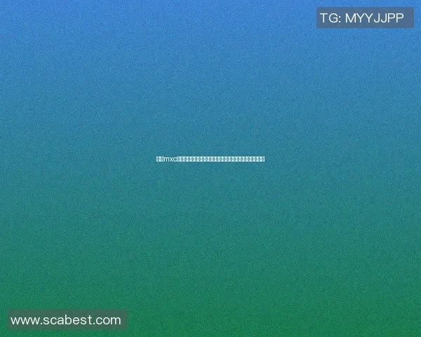探索mxc篮球明星的成长之路与辉煌成就揭示他们背后的奋斗故事 探索mxc篮球明星的成长之路与辉煌成就揭示他们背后的奋斗故事