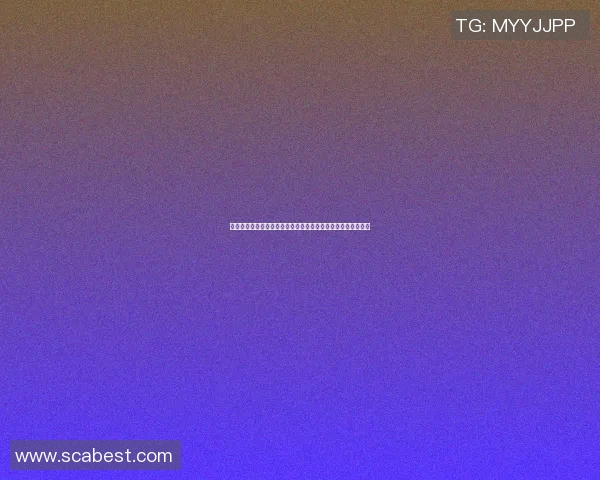 篮球明星的数量与影响力分析及其在全球体育文化中的地位探讨